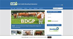 Desktop Screenshot of icbf.com